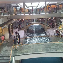 Rain Oculus