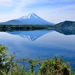 身延町
