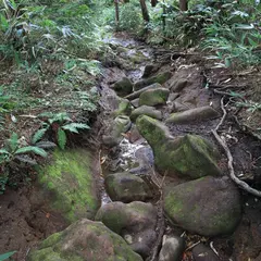 東吾妻山