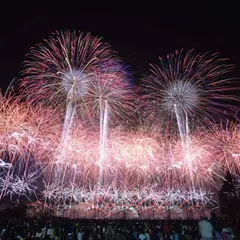 成田市ニュータウンスポーツ広場
