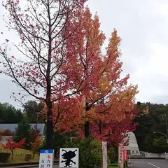 九谷陶芸村