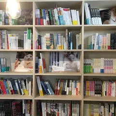 Antenna Books & Cafe ココシバ