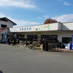 風の駅やげんじ