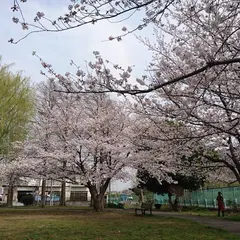 佐江戸公園