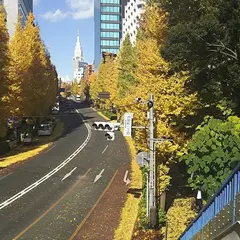 〒150-0001 東京都渋谷区神宮前１丁目