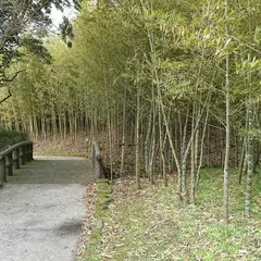 合馬竹林公園