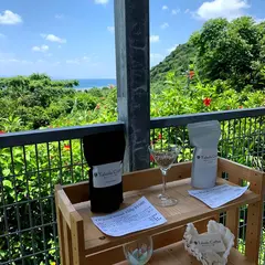 Takeda Coffee 武田珈琲 石垣島農園 