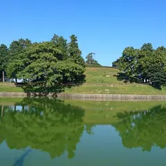 柳本公園・黒塚古墳