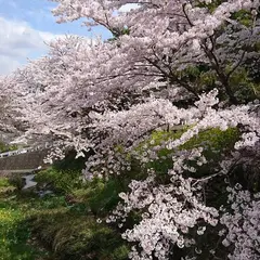 中尾郷交流館