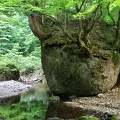 ネコバリ岩