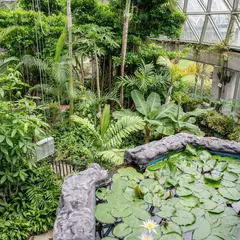 鞍ケ池公園 植物園