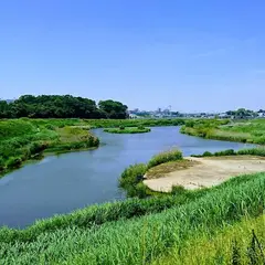 境川遊水地公園