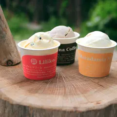 Hilo Homemade Ice Cream