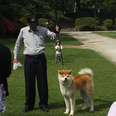 秋田犬ふれあい処ｉｎ千秋公園