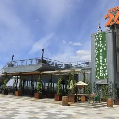 City Vineyard