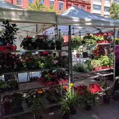 79th Street Greenmarket