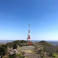 湘南平新展望台