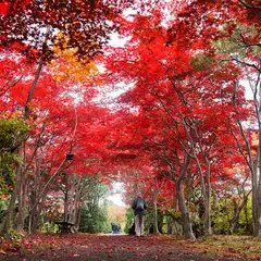 21年 札幌市清田区のおすすめ遊び 観光スポットランキングtop10 Holiday ホリデー