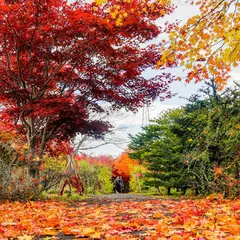 21年 札幌市清田区のおすすめ遊び 観光スポットランキングtop10 Holiday ホリデー