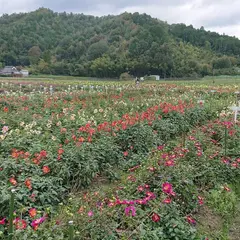 宝塚ダリア園