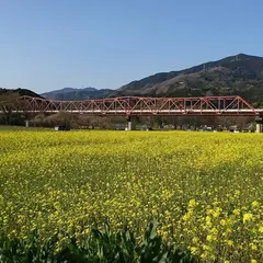 畑の前河川敷広場