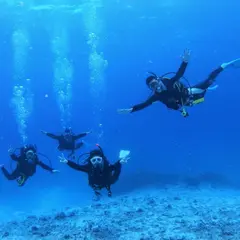 石垣島体験ダイビング・初心者専門・サンフィッシュ石垣島