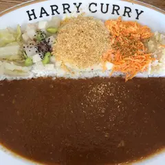 HARRY CURRY ハリーカリー