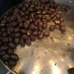 比沙家栗子