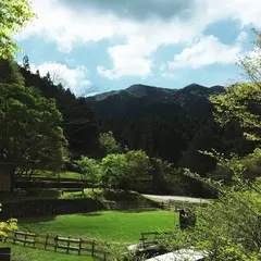 朔