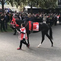 ムーニーヴァレー競馬場