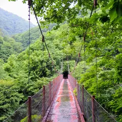 西沢渓谷 二俣吊橋