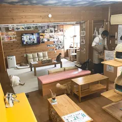 猫カフェ ちぐら