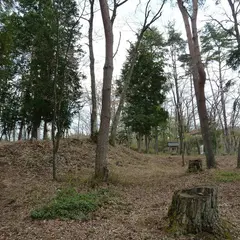 篠脇城跡