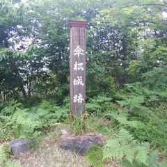 傘松城