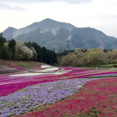 医療法人社団コスモ会あらいクリニック