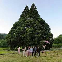 小杉の大杉（トトロの木）