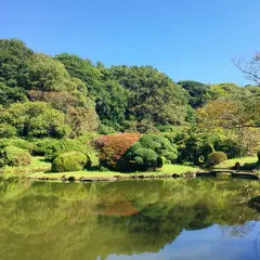 日本庭園（小石川植物園）