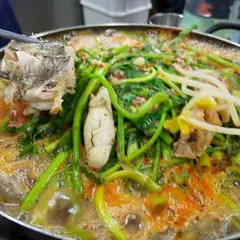 부산갈매기