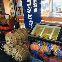 五頭の山茂登