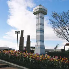 水と緑の館・展望タワー