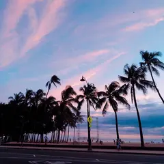 Waikiki Beach（ワイキキ・ビーチ）