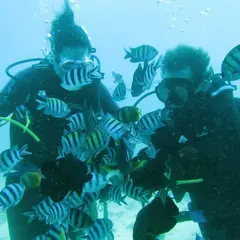 Bali Jet Set Dive and Marine Sports