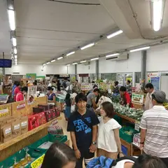 おっぱ乳業 道の駅許田やんばる物産センター店