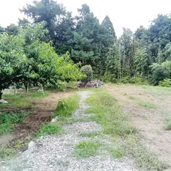 椿城(上野城)跡