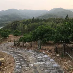 小引佐の石畳