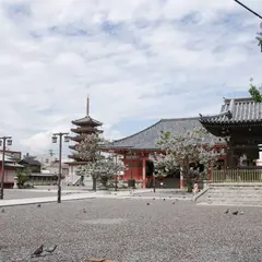 津観音寺