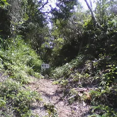 富田松山城跡