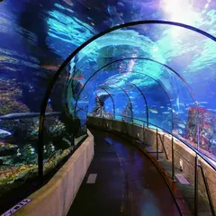 バルセロナ水族館