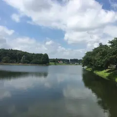 芳賀町唐桶宗山公園
