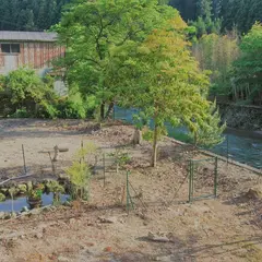 ドッグラン ムカイDog Ran Mukai